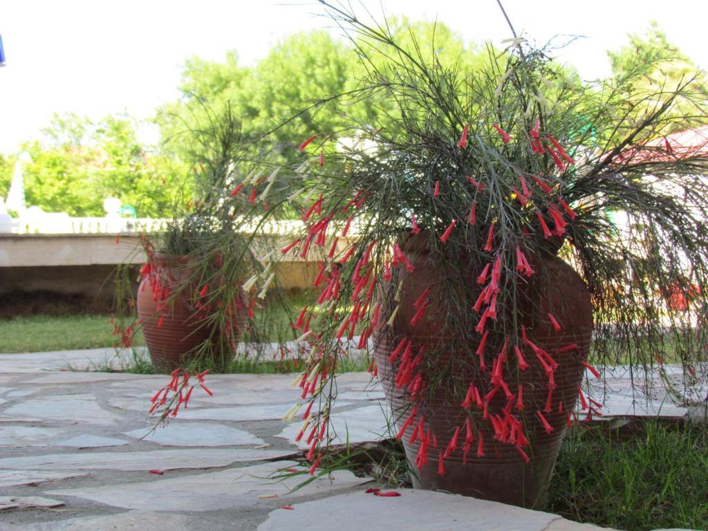 Dalyan Palmiye Resort Hotel מראה חיצוני תמונה